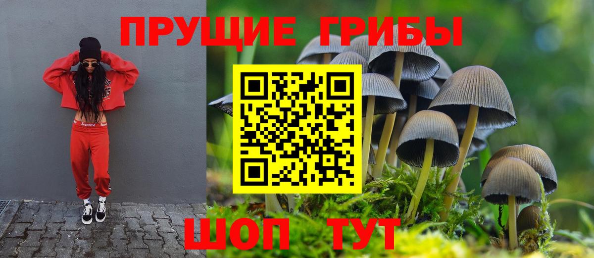 Псилоцибиновые грибы мицелий  Вход с VPN  Уварово 